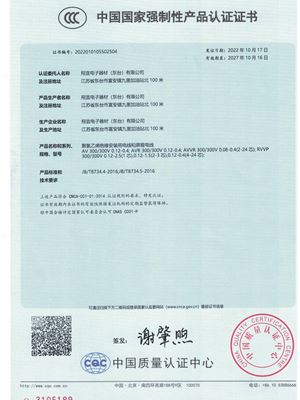 CCC證書 翔宜（東臺）.pdf-img-1-0